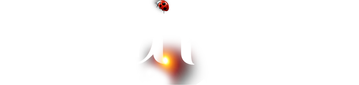 彩神vll官网·(中国)首页大厅